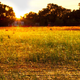 Image for article titled 45 Different Views of the Summer Solstice